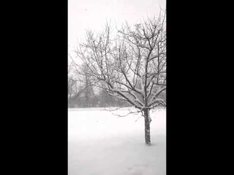 Its a Snow Globe at L-Tron Part 2
