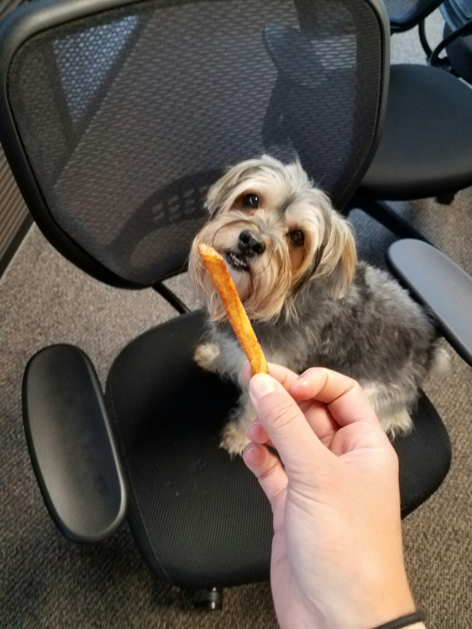 Best French Fry Deals You Won'T Want To Miss On National Fry Day 2025 - 1ue9aiq