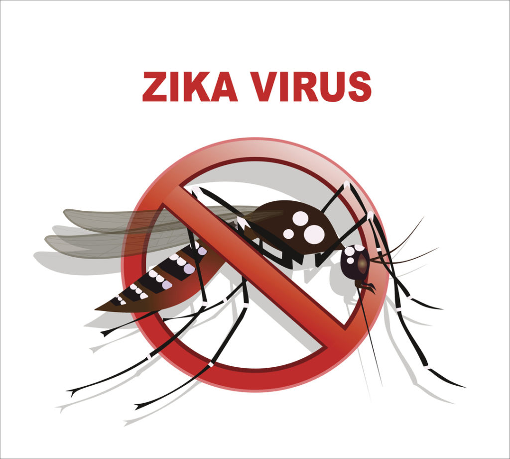 zika virus