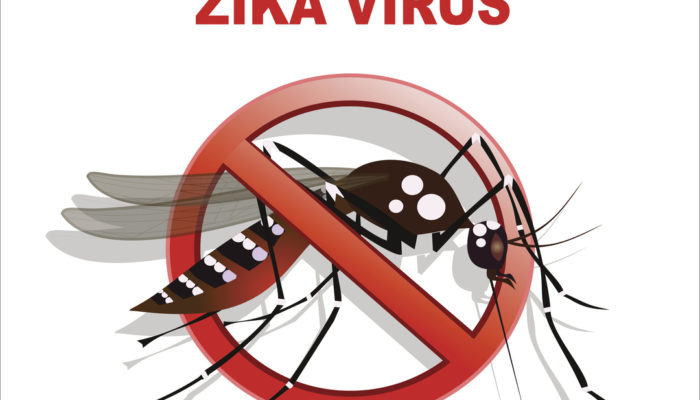 Google’s Verily sets out to Squash the Zika Mosquito Population