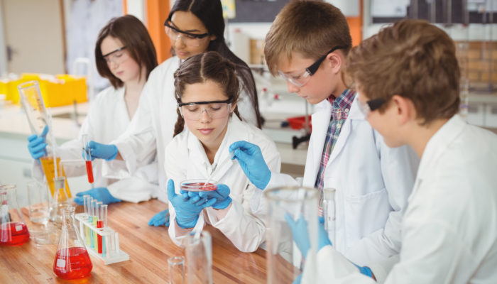 STEM Programs: Are They Effective in the United States?