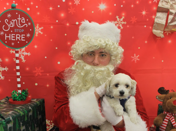 Bella and Santa Holidays