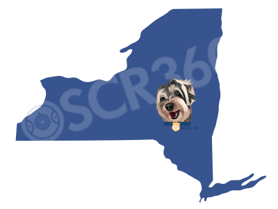 oscr is in new york