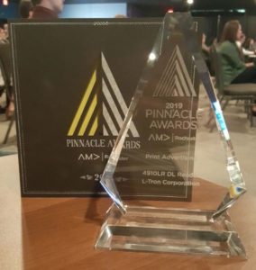 2019 AMA Pinnacle Award