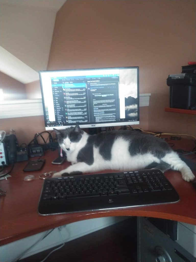 new co-workers also work remotely