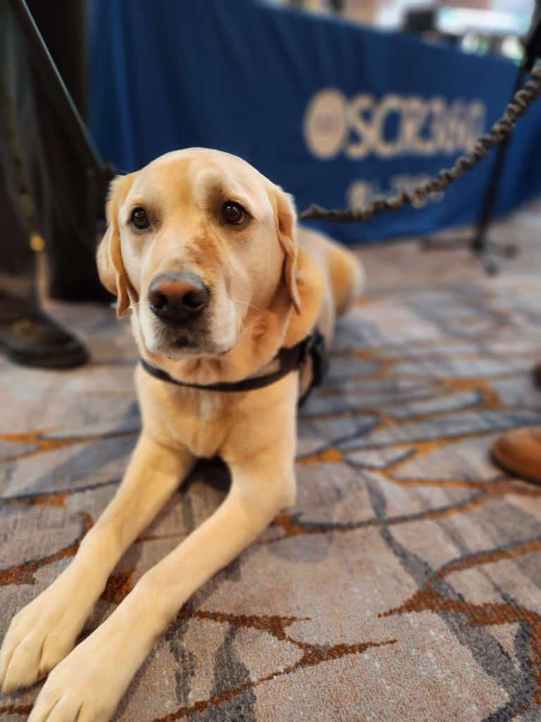 IAAI Fire Training Conference Dog