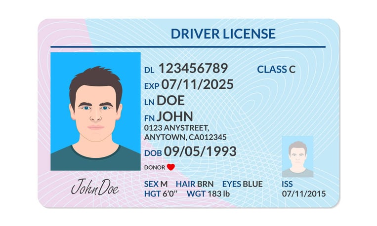 mobile driver's licenses (mDLs) vs. physical driver's licenses - image of standard physical license