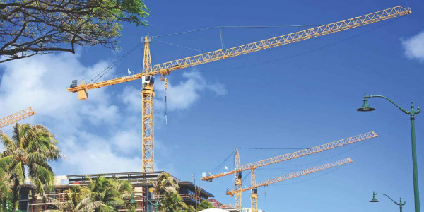 Honolulu Construction and Draying Company Case Study Image